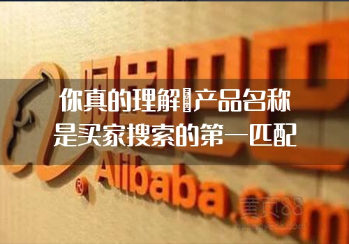 你真的理解＂产品名称是买家搜索的第一匹配要素＂了吗？