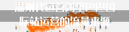 温州代运营阿里巴巴国际站运营的流量来源