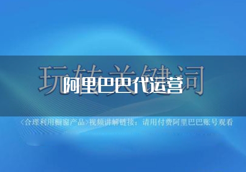 阿里巴巴代运营