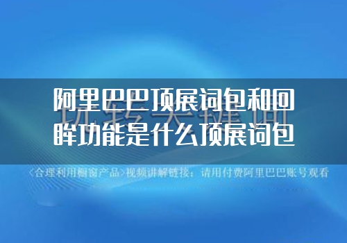 阿里巴巴顶展词包和回眸功能是什么顶展词包和回眸功能介绍
