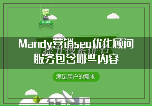 Mandy营销seo优化顾问服务包含哪些内容