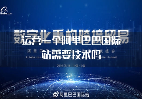 运营一个阿里巴巴国际站需要技术吗