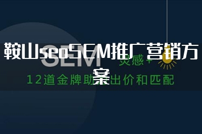 鞍山seoSEM推广营销方案