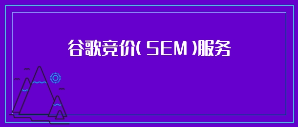 谷歌竞价（SEM）服务