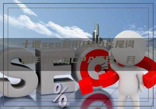 十堰seo利用SEO长尾词操作影视站CPA项目，月入10万