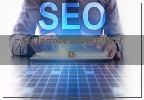 厦门seo网站降权原因分析