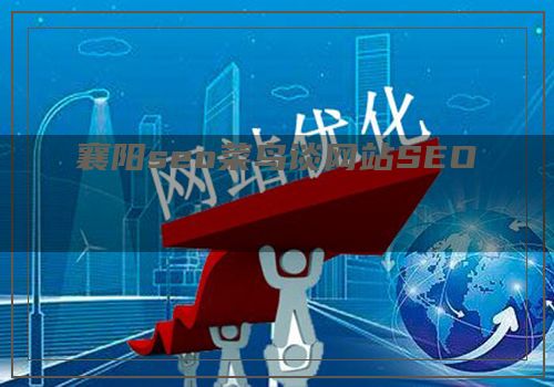 襄阳seo菜鸟谈网站SEO