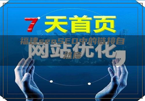 福建seoSEO中的链接自然度