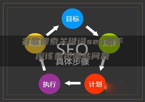 谷歌搜索关键词seo新手应该重视哪些问题