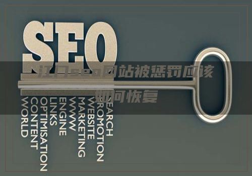 江门seo网站被惩罚应该如何恢复