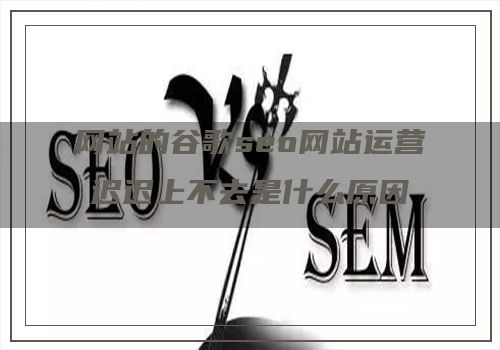 网站的谷歌seo网站运营迟迟上不去是什么原因导致的