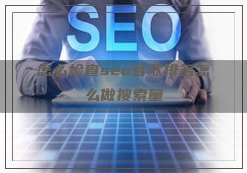 怎么检查seo谷歌排名怎么做搜索量