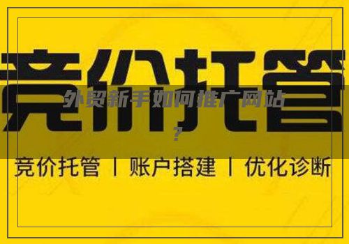 外贸新手如何推广网站？
