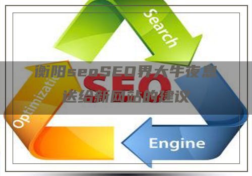衡阳seoSEO界大牛夜息送给新网站的建议
