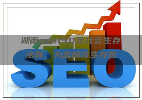 湖南seo150条社会生存法则，为您解读生存哲学！