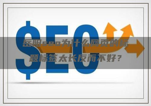 岳阳seo为什么网页的标题标签太长反而不好？