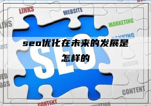 seo优化在未来的发展是怎样的