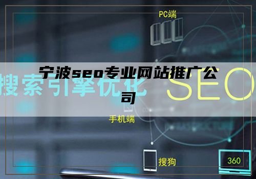 宁波seo专业网站推广公司