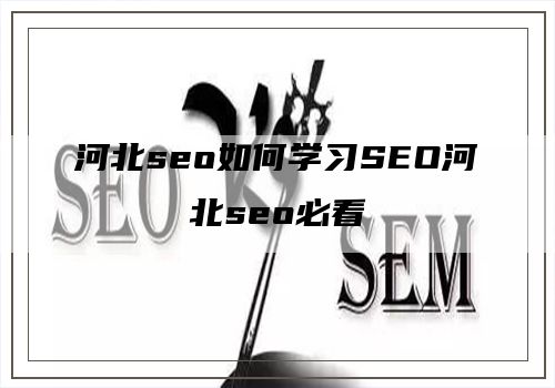河北seo如何学习SEO河北seo必看