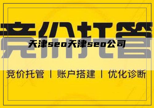 天津seo天津seo公司