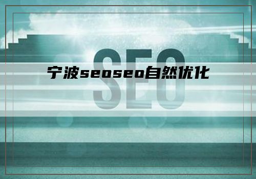 宁波seoseo自然优化