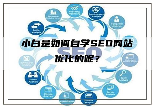 小白是如何自学SEO网站优化的呢？