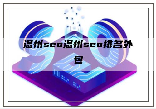 温州seo温州seo排名外包
