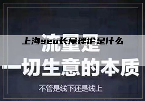 上海seo长尾理论是什么