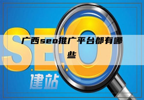 广西seo推广平台都有哪些