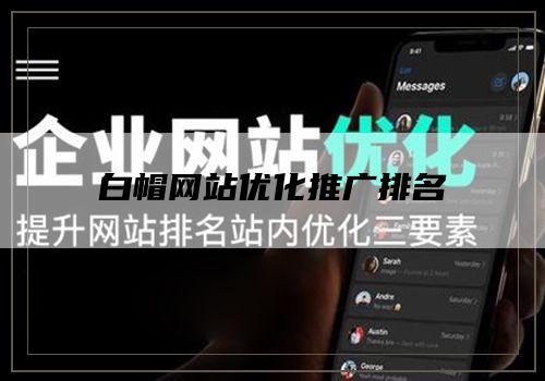 白帽网站优化推广排名