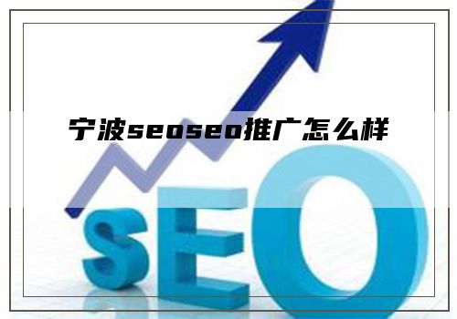 宁波seoseo推广怎么样