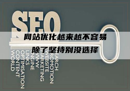 网站优化越来越不容易除了坚持别没选择